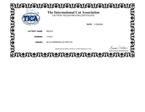  Certificado TICA