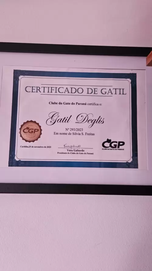 Certificado de Gatil CGP