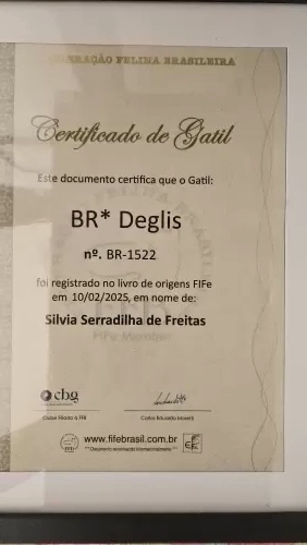 1-Certificados do Gatil